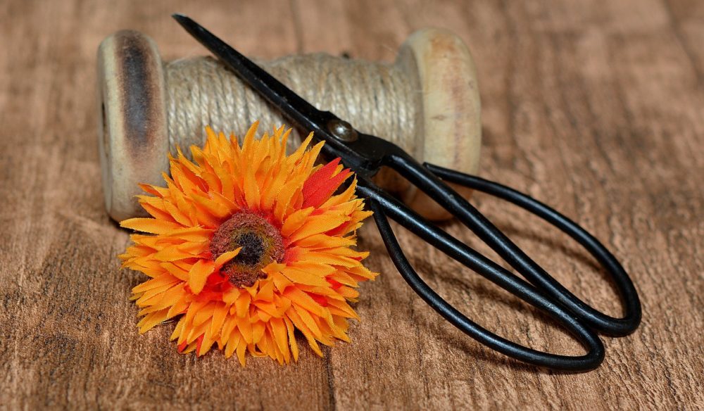 Tighten Up! Seven Tips for Decluttering Your Sentences | Florida ...