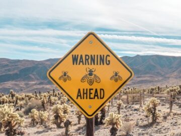 yellow and black road sign